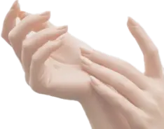 ゼオライトで安定した定着性